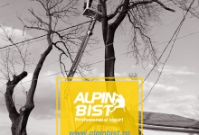 Alpinist Utilitar Baia Mare Alpinist Utilitar Baia Mare - ALPINBIST